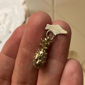 Gold Pineapple Hawaii Charm